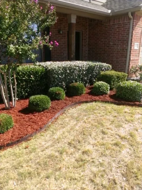 Local landscape installation for year-round maintenance across Arlington, TX - Hamann Landscape Services