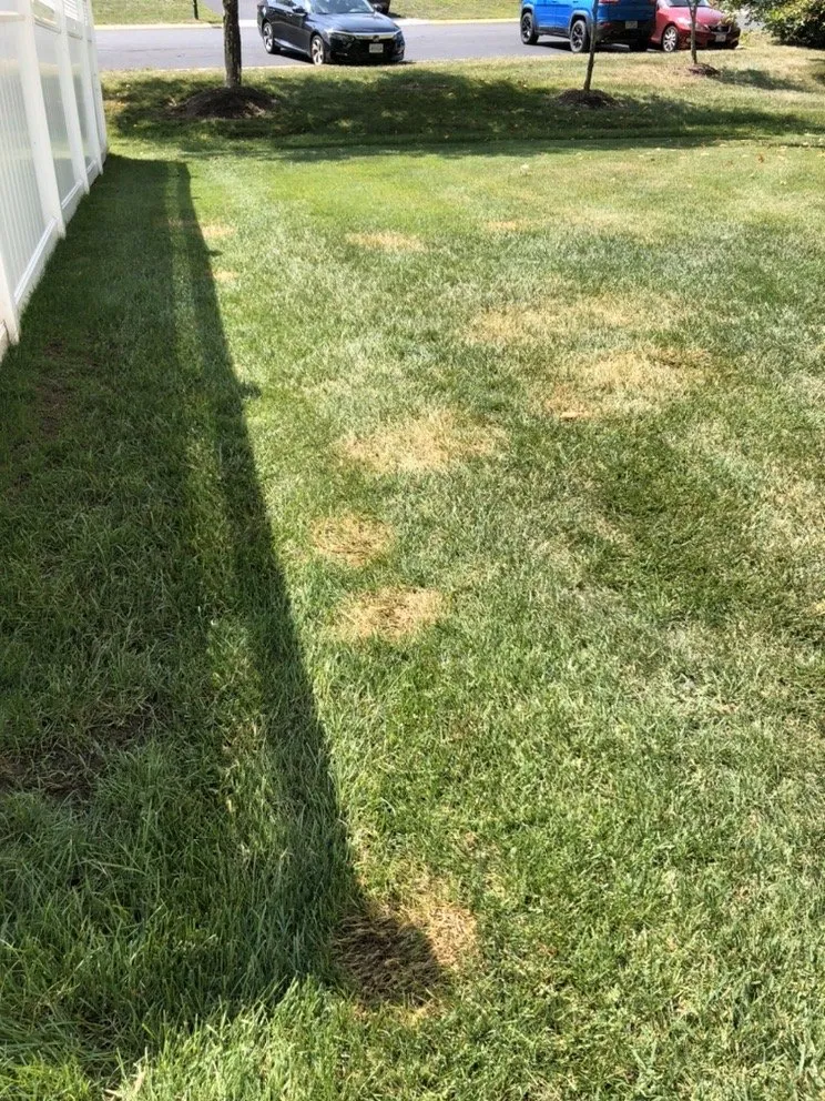 Affordable lawn mowing service in Front Royal, VA - Hambleton Lawn & Landscape