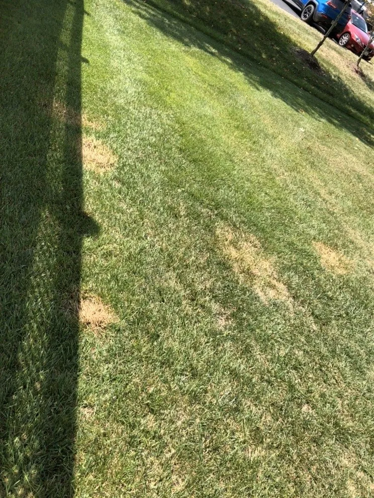 Trusted residential landscaping in Front Royal, VA - Hambleton Lawn & Landscape