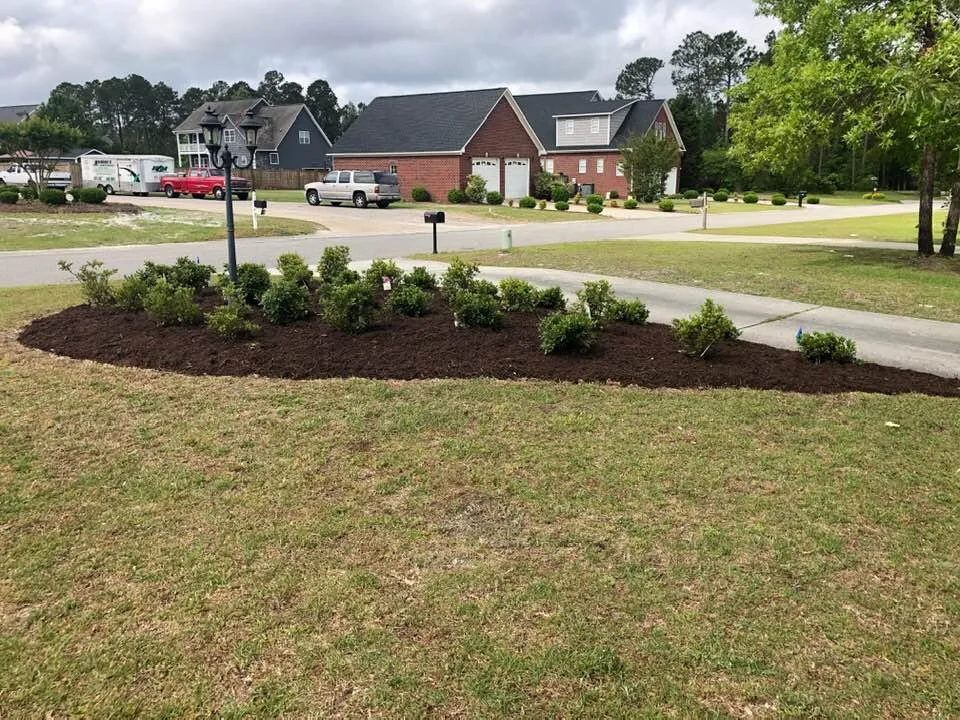 Reliable yard cleanup service in Wilmington, NC by Hambone's Landscaping Service