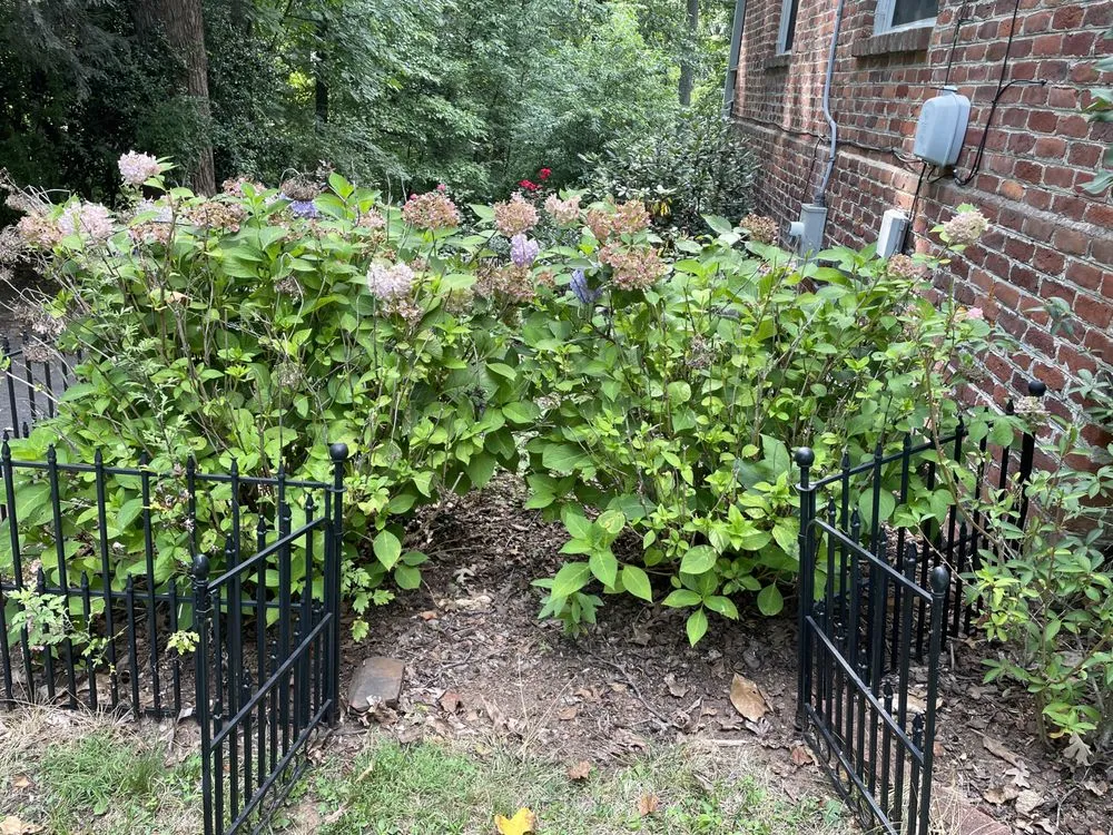 Trusted lawn care service in Lynchburg, VA - Hamby’s Lawn Care & Maintenance