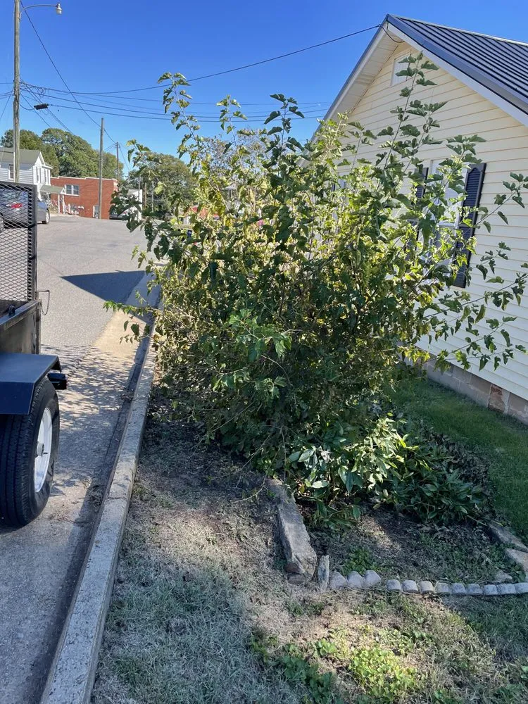 Trusted landscape installation for outdoor upgrades in Lynchburg, VA by Hamby’s Lawn Care & Maintenance