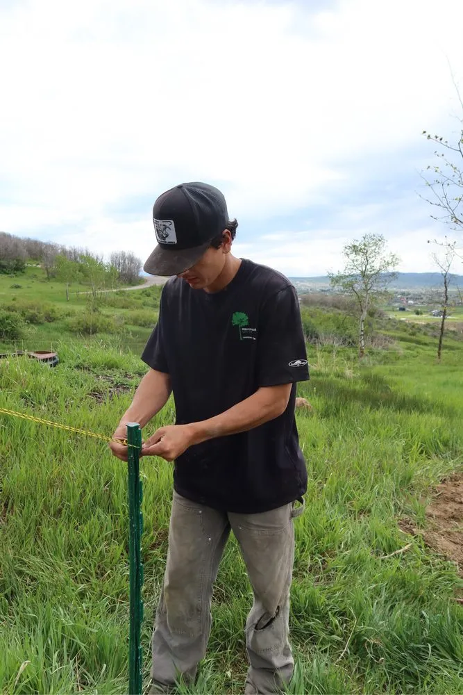 Expert landscaping services in Park City, UT - Hameier Peak