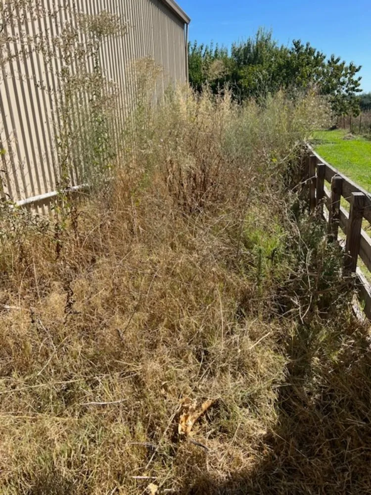 Trusted lawn mowing service in Orland, CA by Hamel's Yardscapes