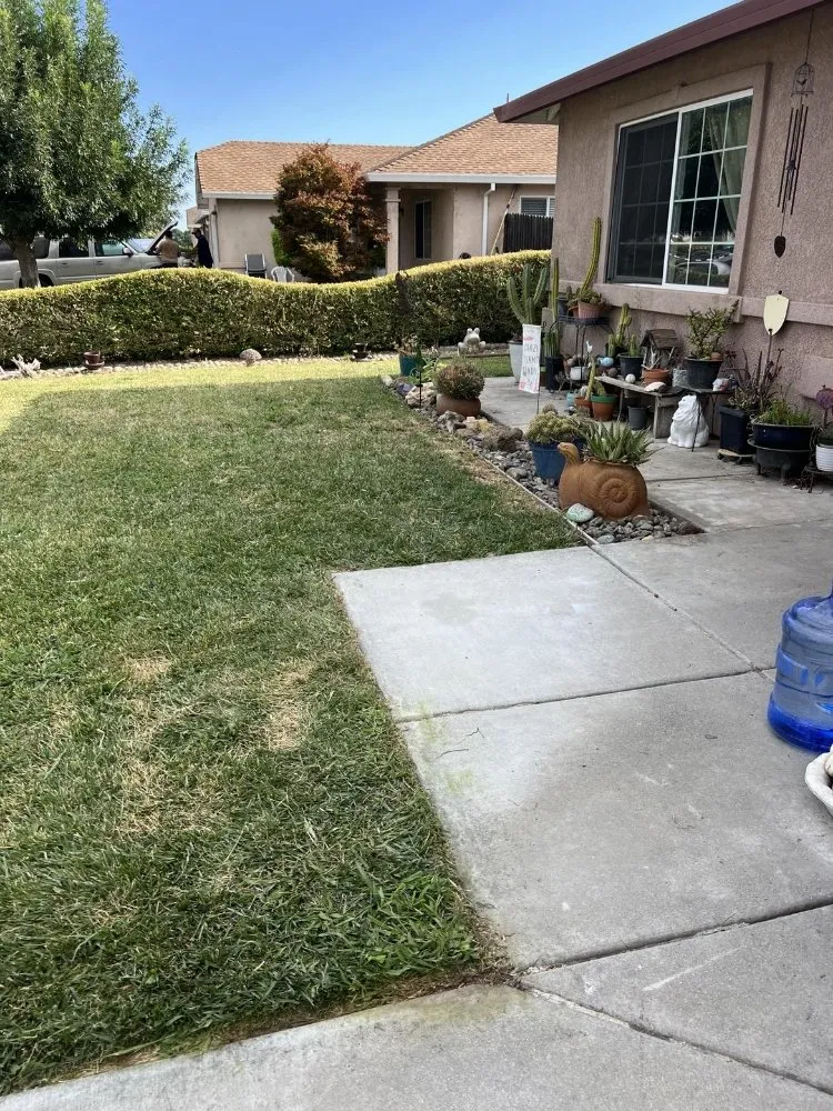 Trusted lawn care service in Orland, CA - Hamel's Yardscapes