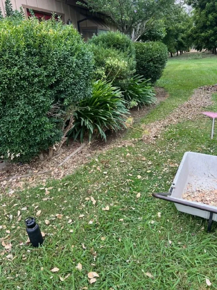 Professional landscaping services in Orland, CA - Hamel's Yardscapes