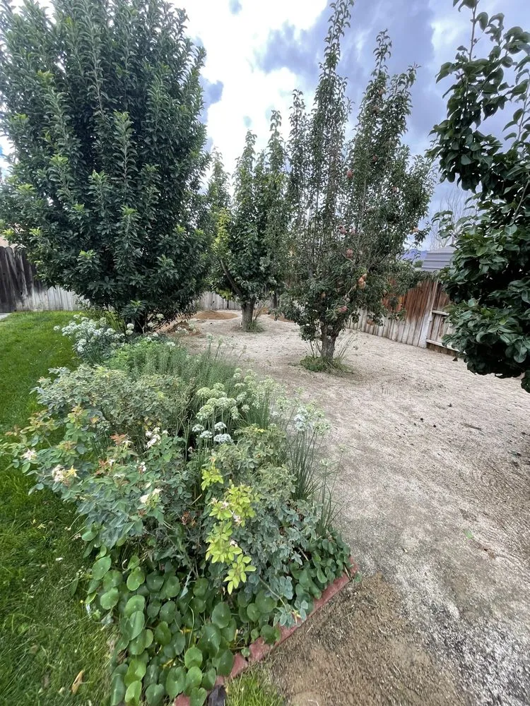 Local residential landscaping in Fernley, NV - Hamilton & Martinez Home/Garden & pressure washing solutions