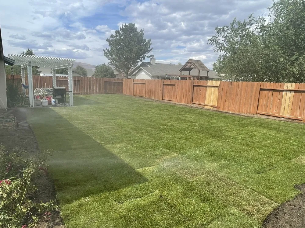 Trusted yard cleanup service in Fernley, NV - Hamilton & Martinez Home/Garden & pressure washing solutions