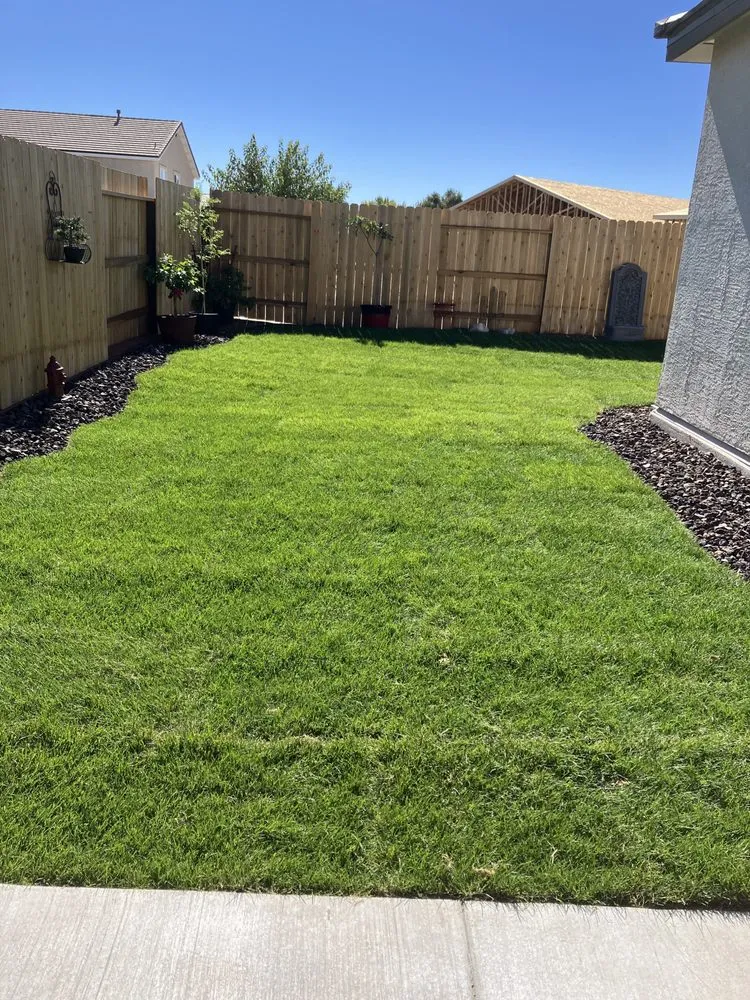 Local yard maintenance for residential properties in Fernley, NV by Hamilton & Martinez Home/Garden & pressure washing solutions