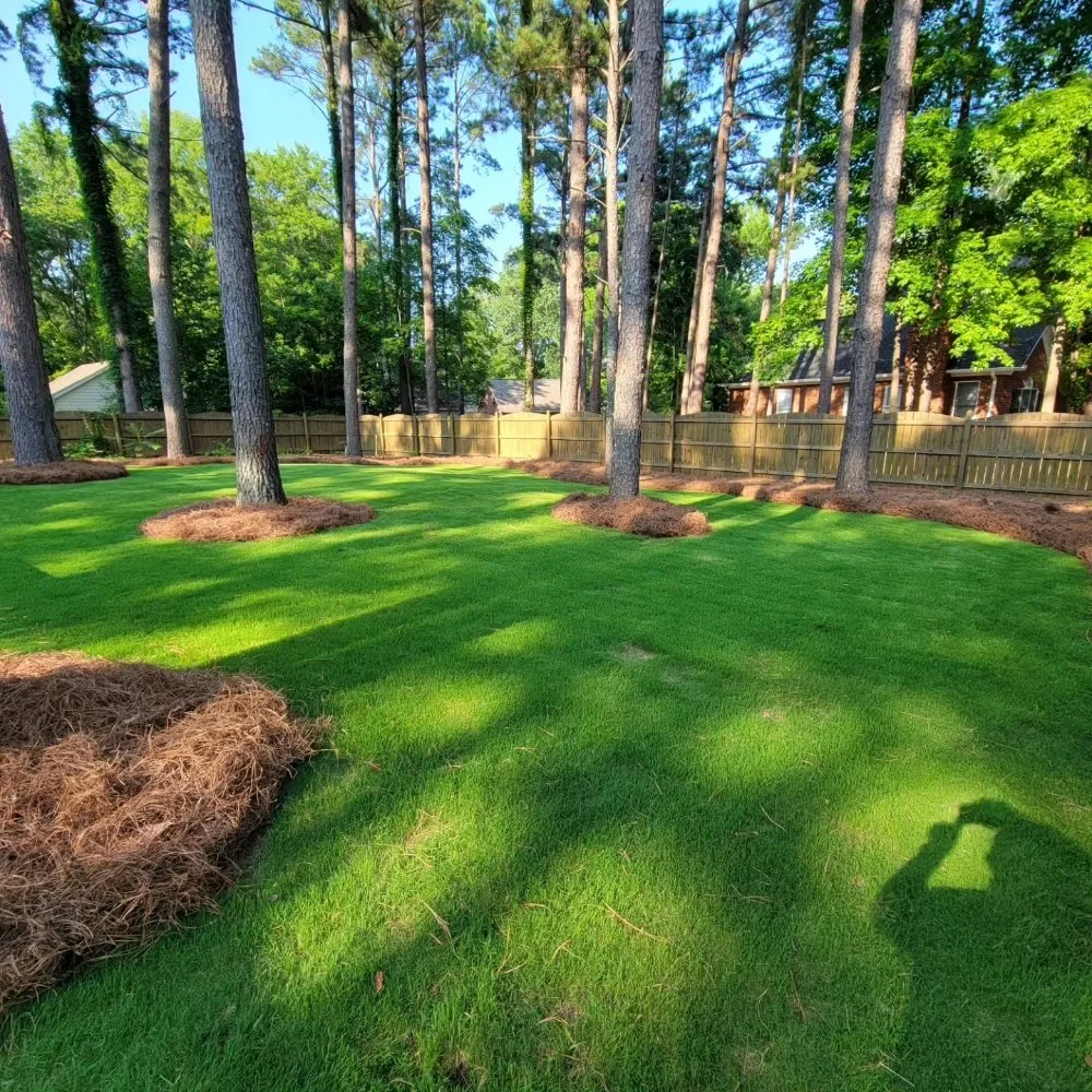 Affordable landscape design for outdoor upgrades across Batesburg, SC - Hamilton Land Works