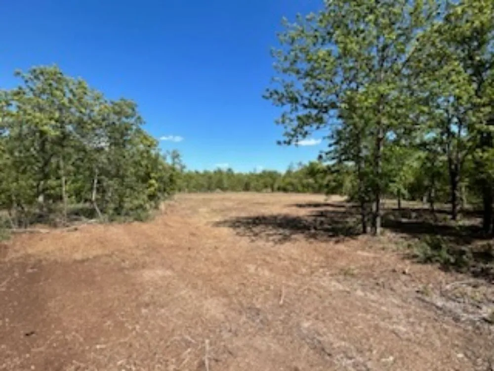 Top-rated landscape installation for residential properties across Batesburg, SC - Hamilton Land Works