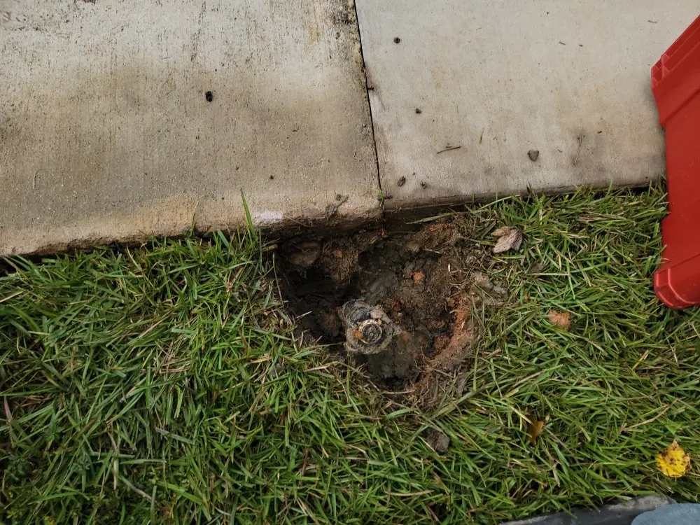 Professional yard cleanup service experts serving Batesburg, SC - Hamilton Land Works