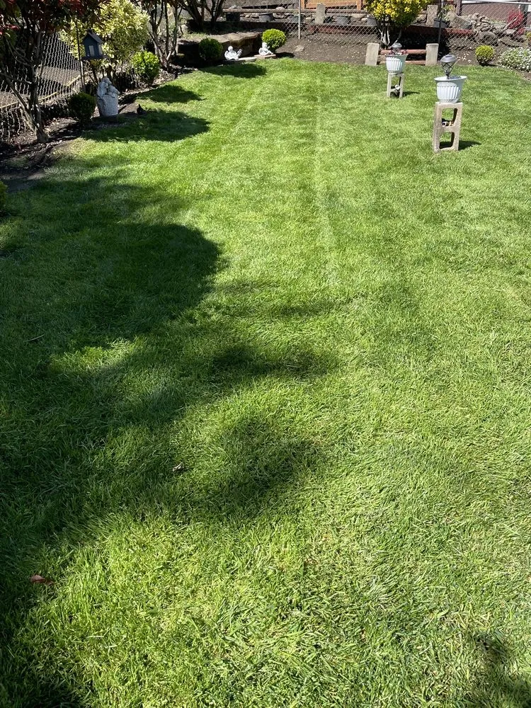 Expert landscape installation in Hood River, OR - Hamilton Landscape & Lawn Care