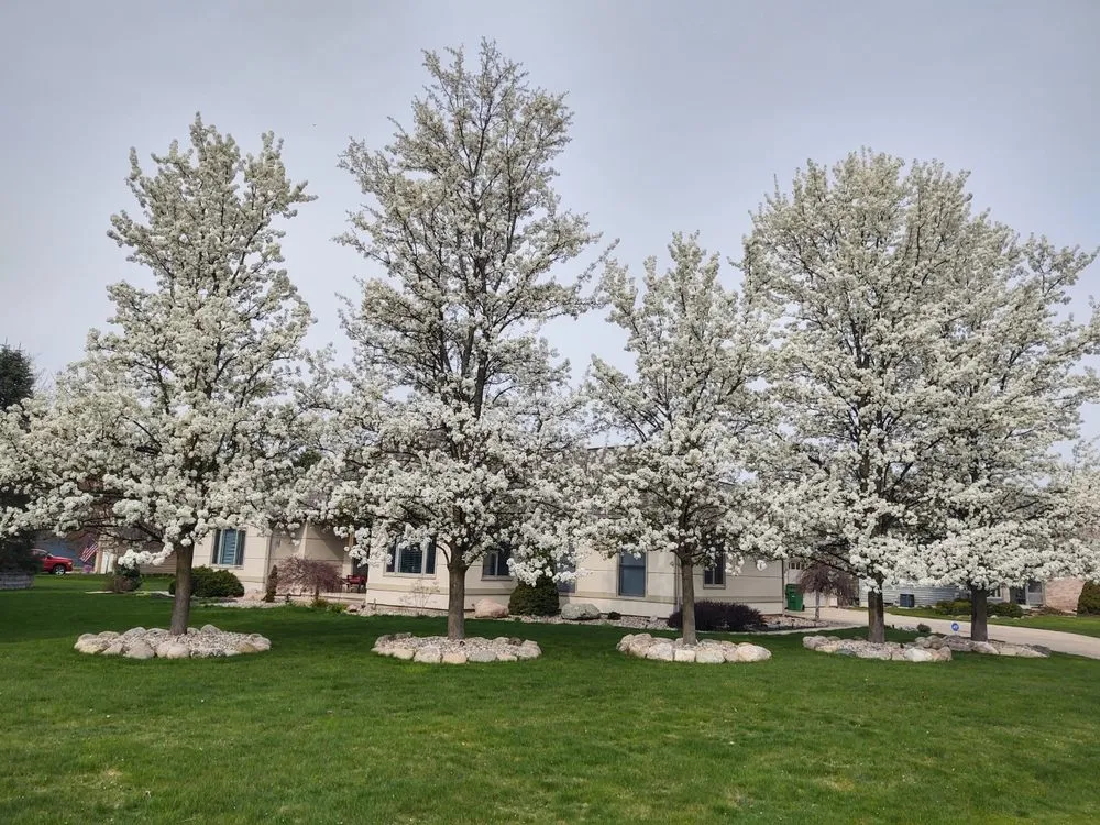 Custom landscape installation in Battle Creek, MI by Hamilton Landscape Supply & Nursery