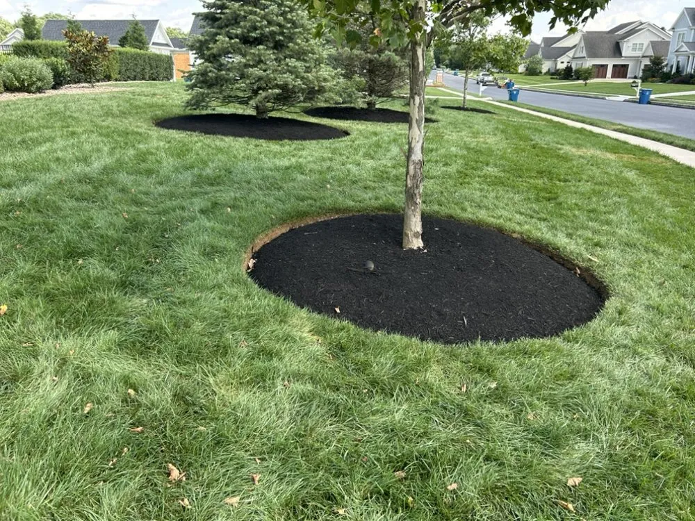 Top-rated lawn care service near you across Carlisle, PA - Hamilton Landscaping and Property Maintenance