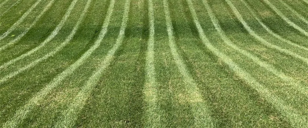 Custom residential landscaping in Owensboro, KY - Hamilton Lawn & Landscape