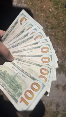 Hamilton Mobile Services Logo