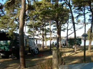 Custom yard cleanup service in East Falmouth, MA by Hamilton Tree and Landscape