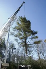 Trusted lawn care service experts serving East Falmouth, MA - Hamilton Tree and Landscape