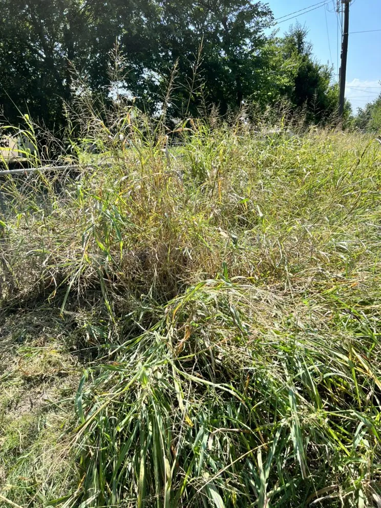 Local landscaping services in Geronimo, OK - Hamilton’s Home and Lawncare