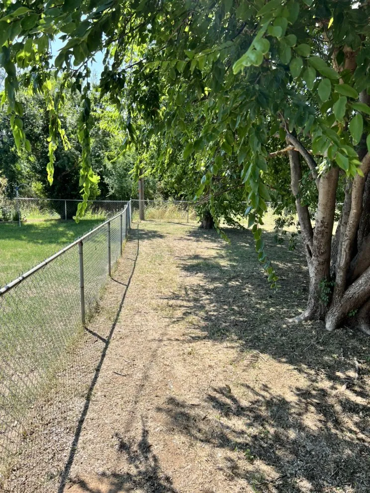 Reliable yard cleanup service for outdoor upgrades across Geronimo, OK - Hamilton’s Home and Lawncare