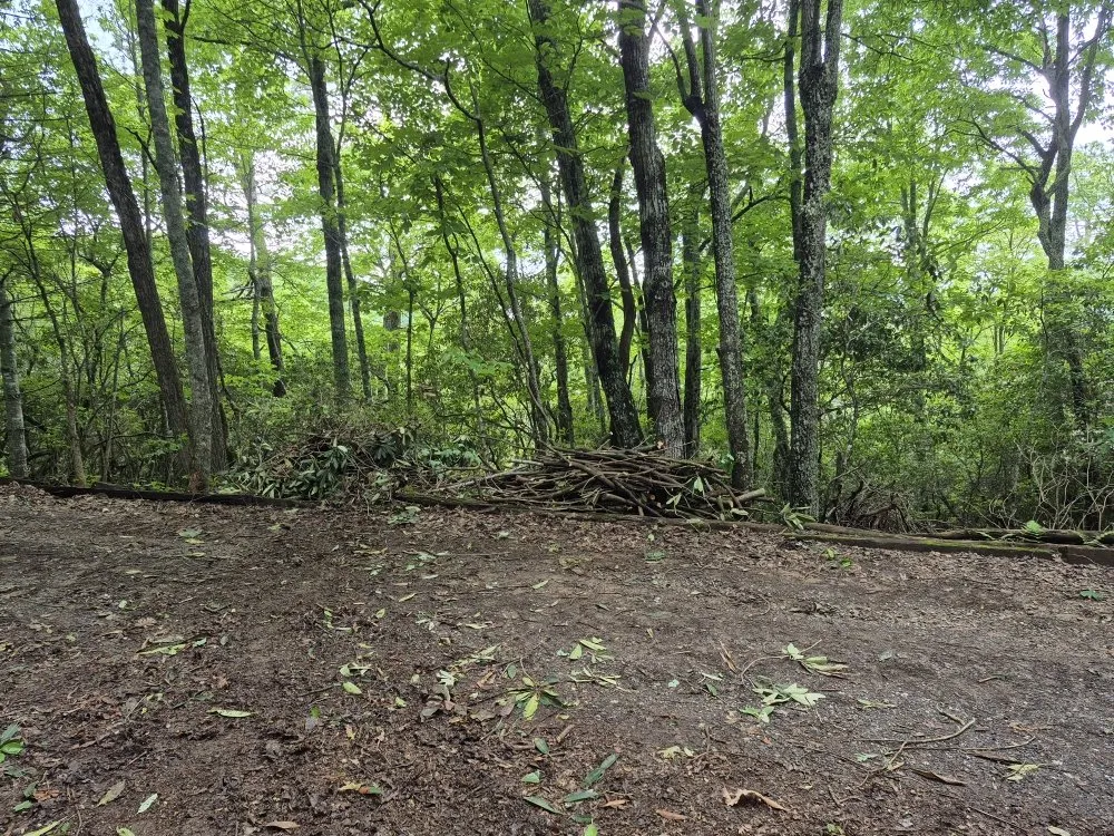 Expert landscaping services experts serving Franklin, NC - Hamilton's Maintenance Services