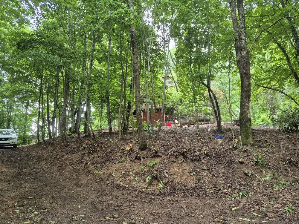 Top-rated landscape installation for homes across Franklin, NC - Hamilton's Maintenance Services