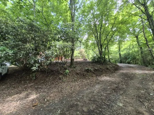 Hamilton's Maintenance Services