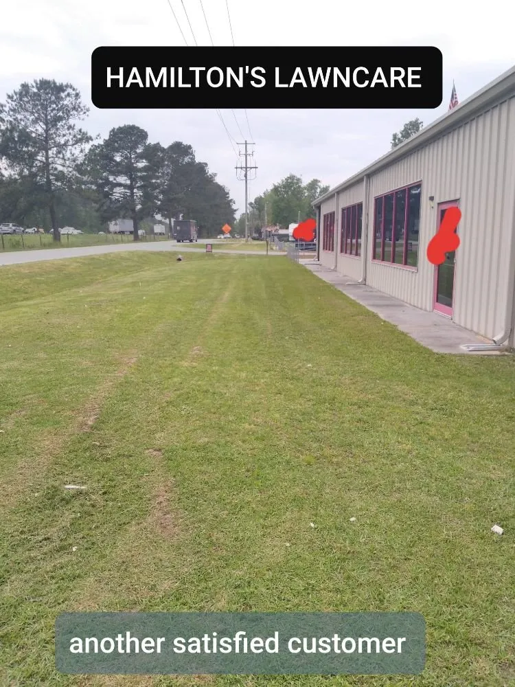 Top-rated landscape installation near you across Ladson, SC - Hamilton's sharp cuts