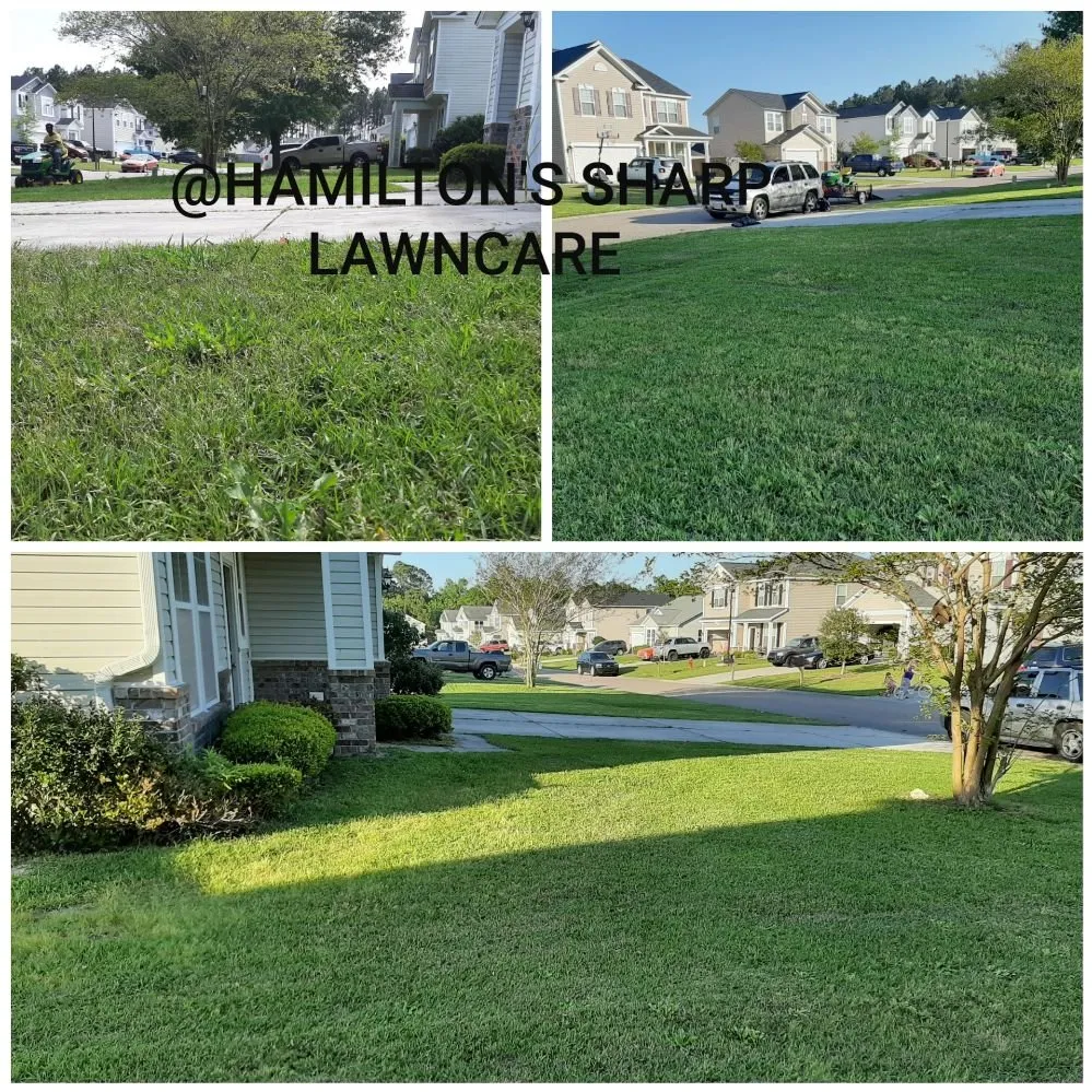 Top-rated landscape installation experts serving Ladson, SC - Hamilton's sharp cuts