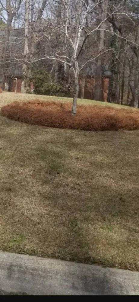 Trusted landscaping services in Ladson, SC - Hamilton's sharp cuts