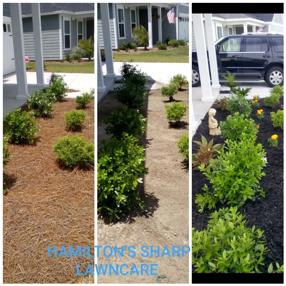 Trusted lawn mowing service experts serving Ladson, SC - Hamilton's sharp cuts