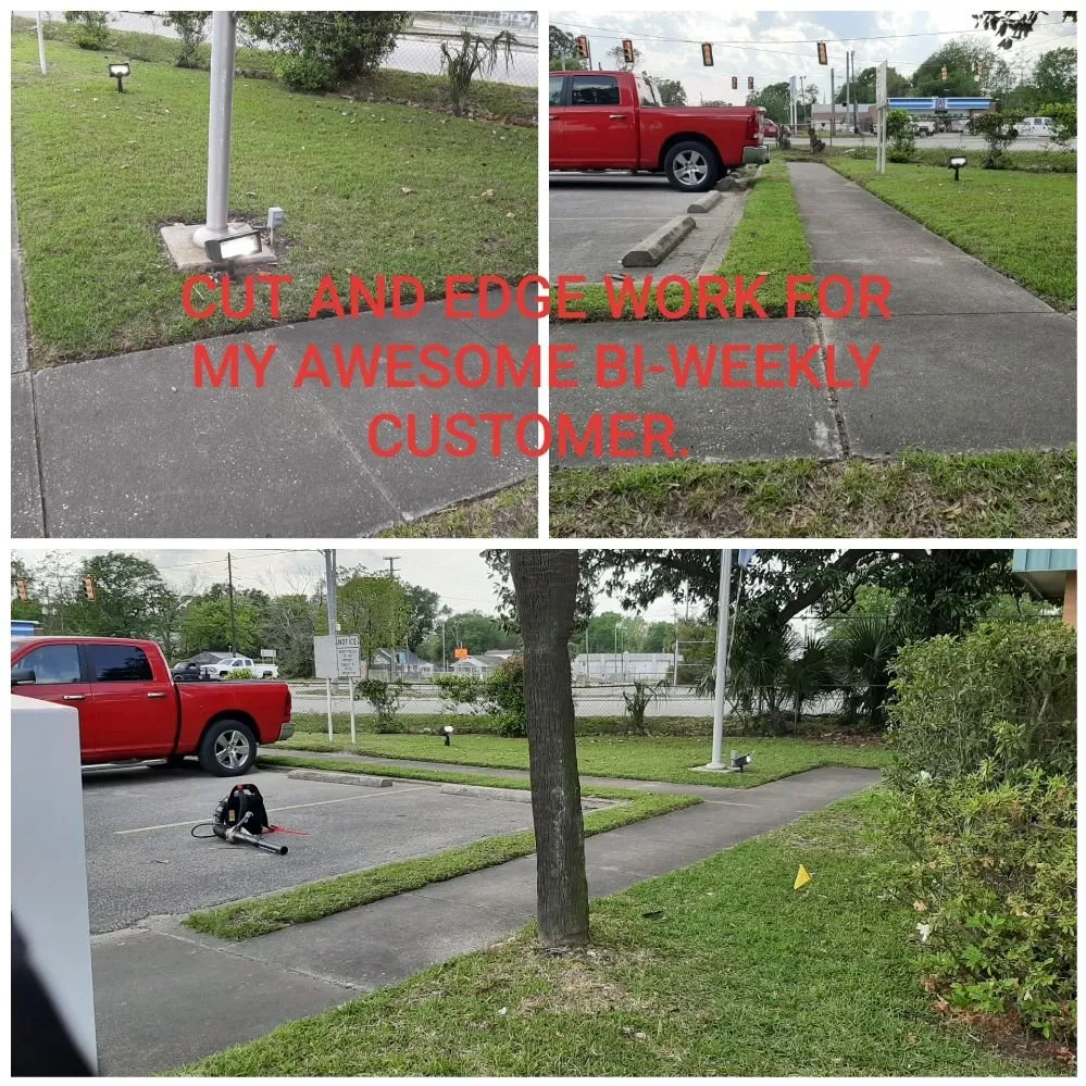 Custom outdoor landscaping in Ladson, SC - Hamilton's sharp cuts