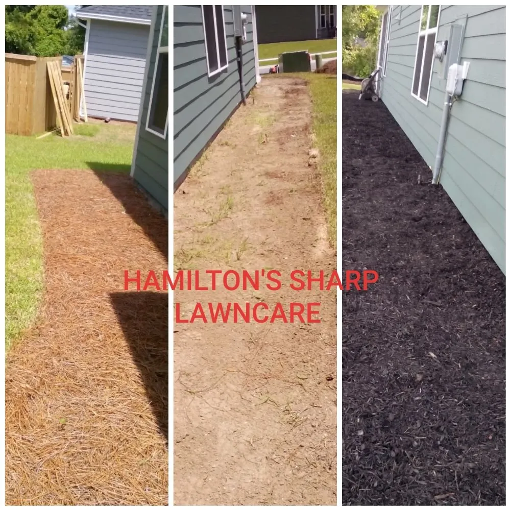 Expert outdoor landscaping in Ladson, SC by Hamilton's sharp cuts