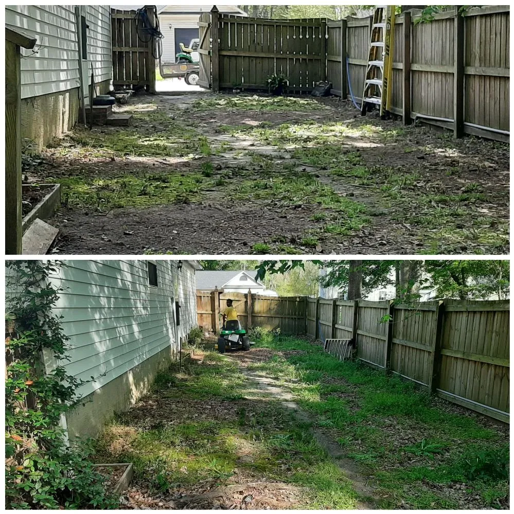 Expert lawn mowing service experts serving Ladson, SC - Hamilton's sharp cuts