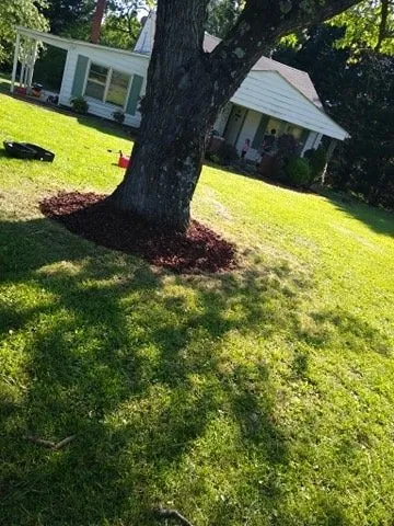 Affordable yard maintenance near you across Elliston, VA - Hamlett’s landscaping