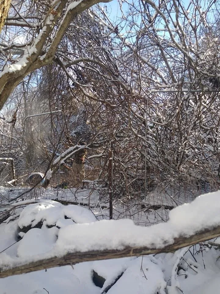 Professional outdoor landscaping experts serving Elliston, VA - Hamlett’s landscaping