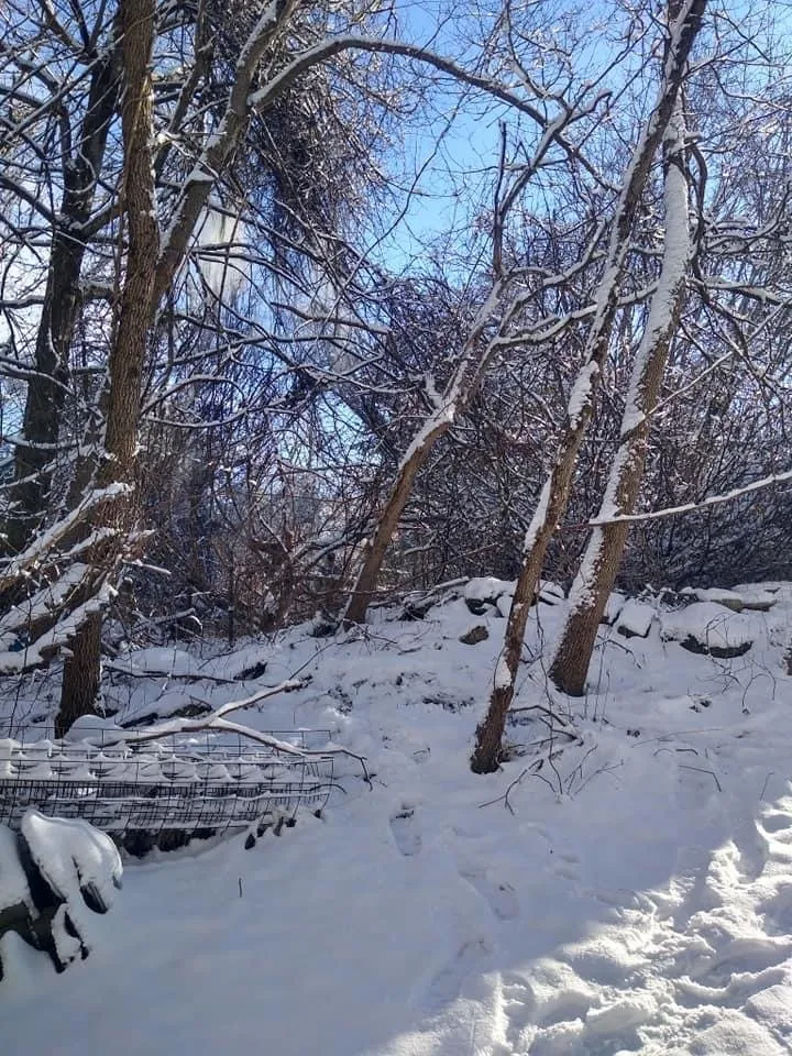 Custom landscape installation experts serving Elliston, VA - Hamlett’s landscaping