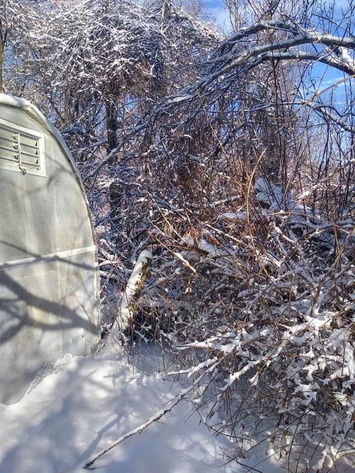 Affordable yard maintenance for year-round maintenance in Elliston, VA by Hamlett’s landscaping