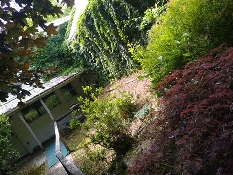 Expert outdoor landscaping experts serving Elliston, VA - Hamlett’s landscaping