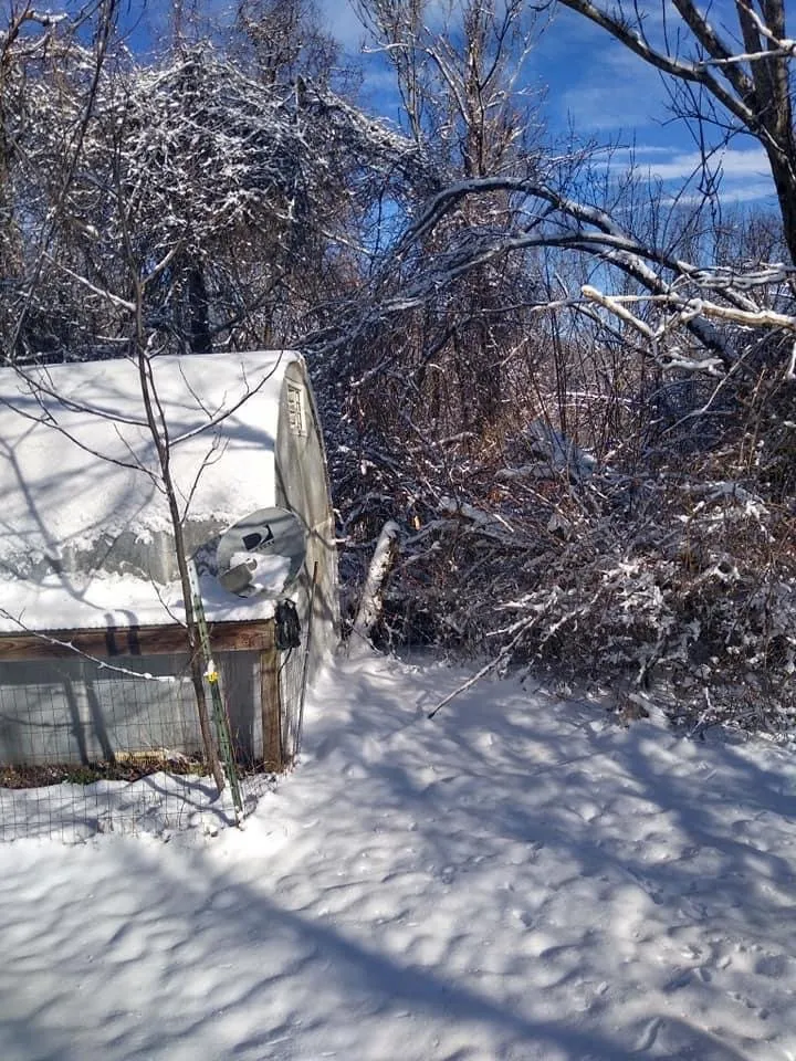 Top-rated residential landscaping in Elliston, VA by Hamlett’s landscaping