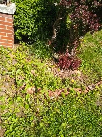 Custom landscape design for beautiful yards in Elliston, VA by Hamlett’s landscaping