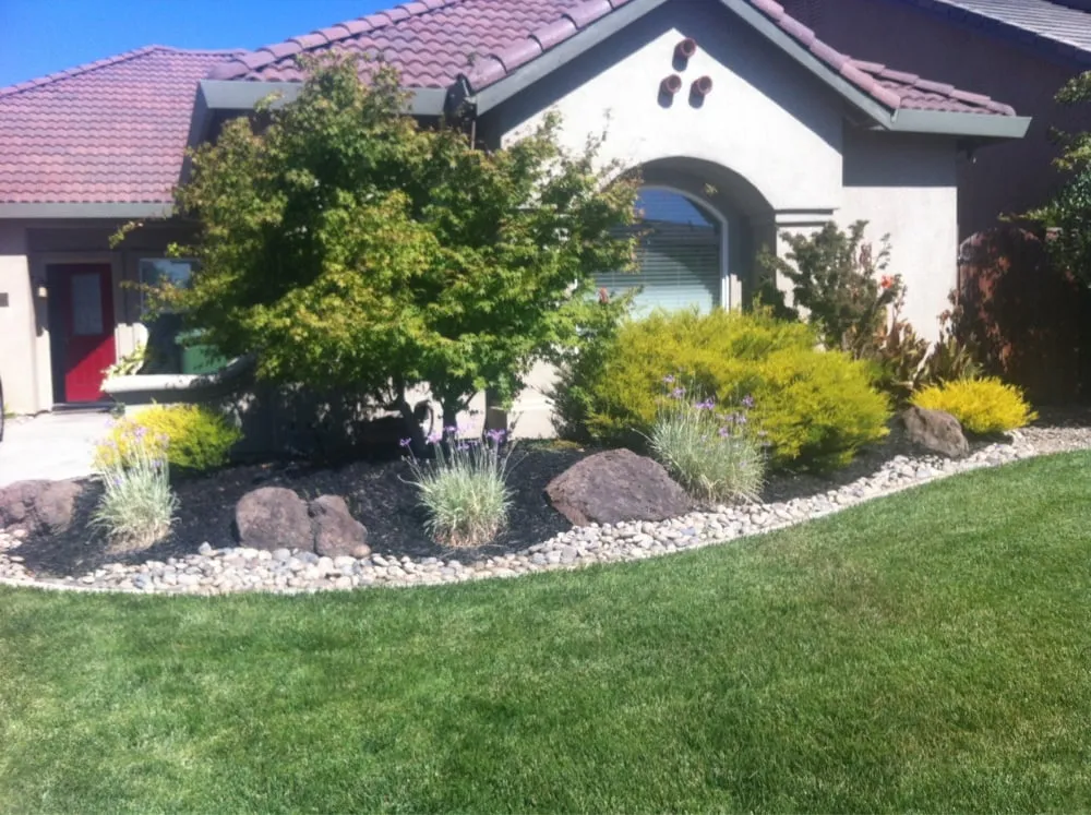 Trusted outdoor landscaping for year-round maintenance across Lodi, CA - Hamm Yard & Lawn service