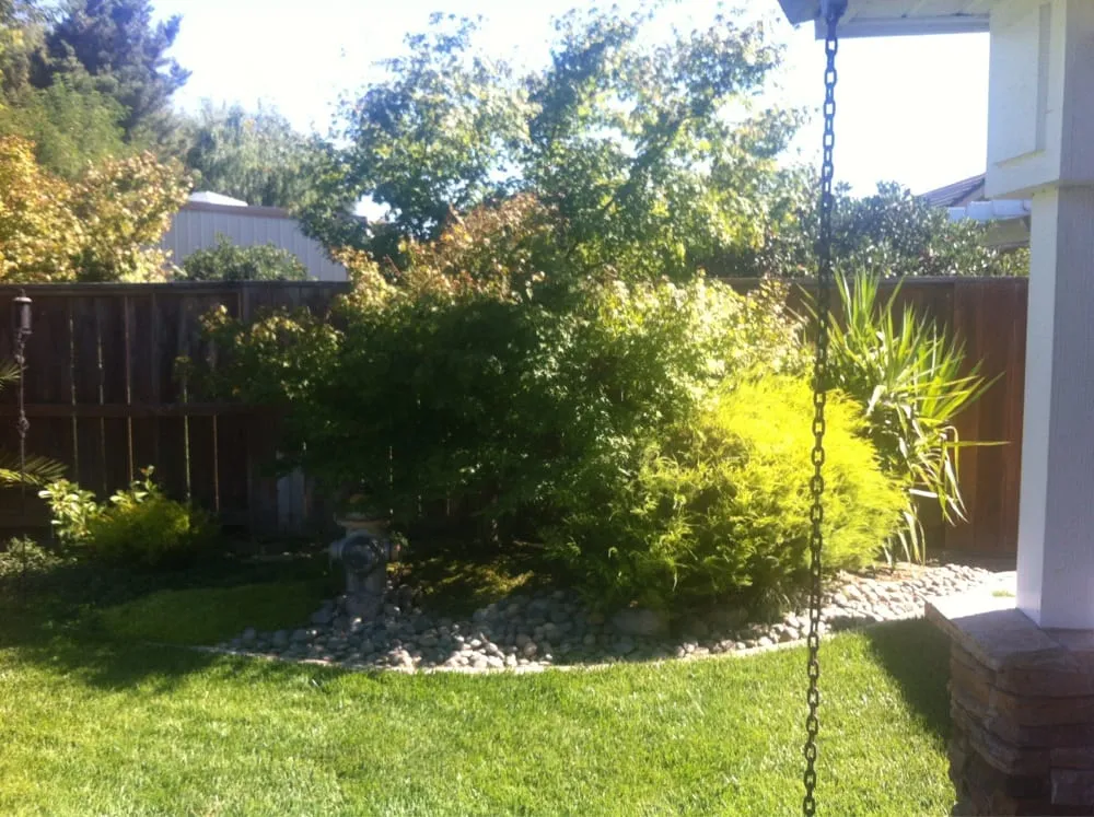 Custom landscape installation in Lodi, CA - Hamm Yard & Lawn service