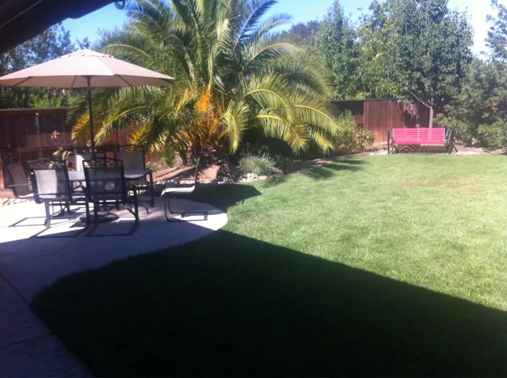 Local landscaping services near you in Lodi, CA by Hamm Yard & Lawn service