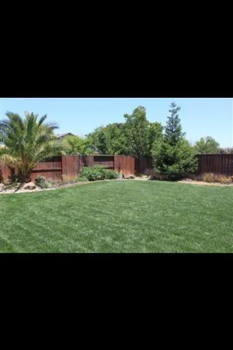Expert yard cleanup service for outdoor upgrades across Lodi, CA - Hamm Yard & Lawn service