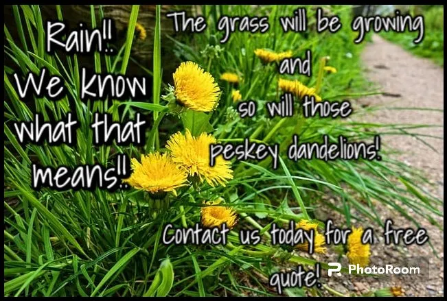 Affordable residential landscaping experts serving Wichita, KS - Hammann & Son's Services