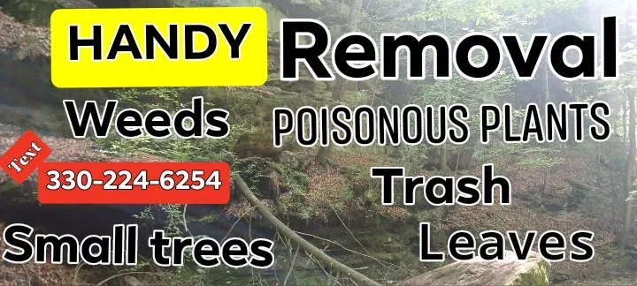 Expert residential landscaping in Canfield, OH - Hammar Services Landscaping