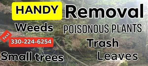 Hammar Services Landscaping