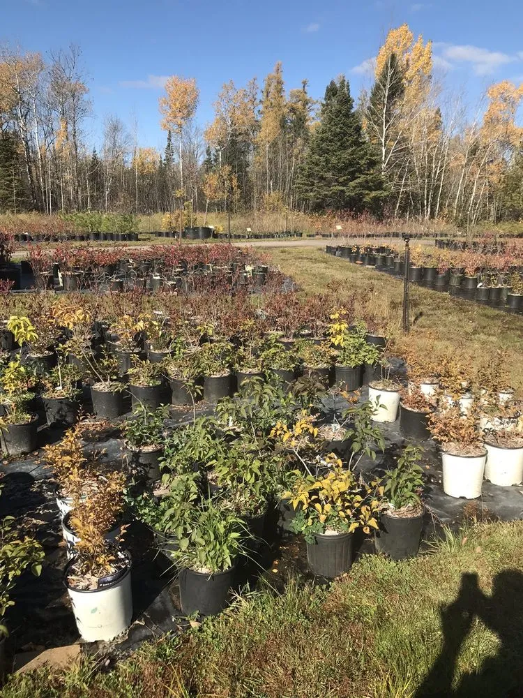 Expert lawn mowing service for homes across Esko, MN - Hammarlund Nursery